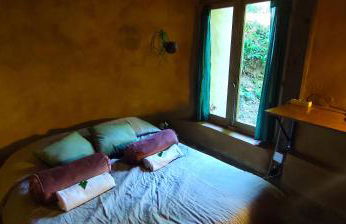 Associação Quinta das Relvas - Foto 99