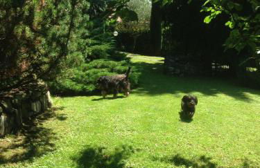 Il Pioppo Antico - Photo 55