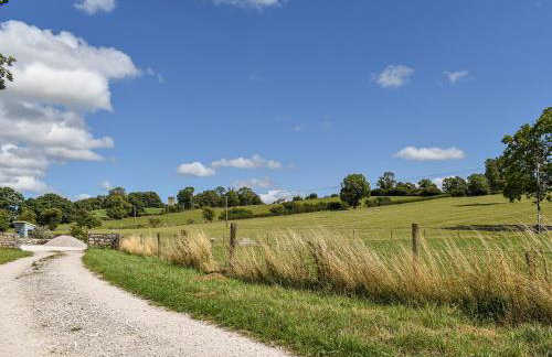 Forget-Me-Not - Uk37646 - Foto 13