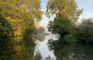 Bright, first floor, one bedroom flat in Wimborne - Photo 24