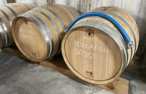 Quinta da Penada - Vineyard & Winery - Suíte 3 - Foto 25