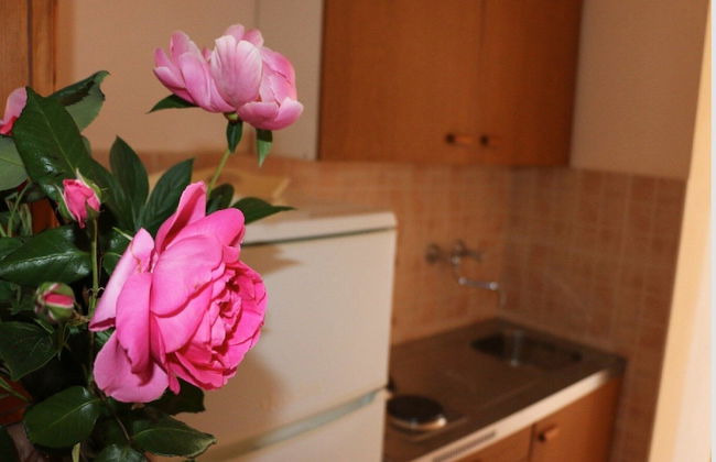 Apartments Juras - Foto 28