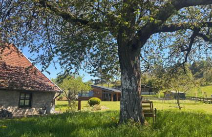 EifelChalet Niederehe - Foto 35