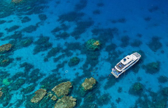 Silverswift Outer Barrier Reef Cruise - Photo 1