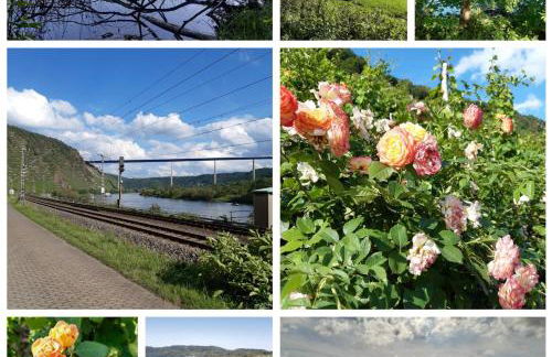 tinyflat33 Apartment in Koblenz mit Internet Balkon Stellplatz Magenta TV - Foto 14