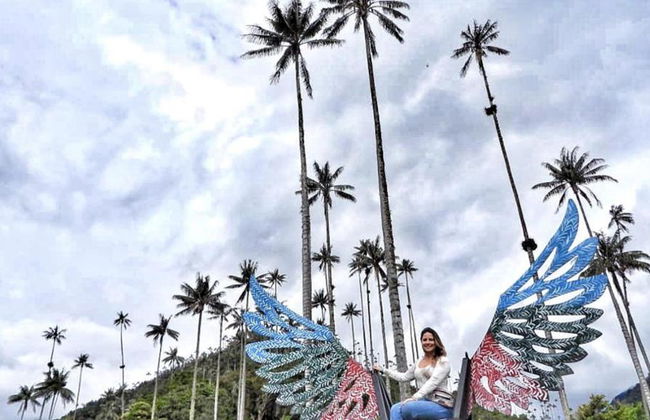 Descubra el Valle del Cocora y Paseo a Caballo en Salento - Excursión Privada de Día Completo - Foto 3