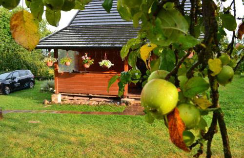 Domek SADKOWO - wśród jabłoni , balia ogrodowa dodatkowo płatna - Photo 30