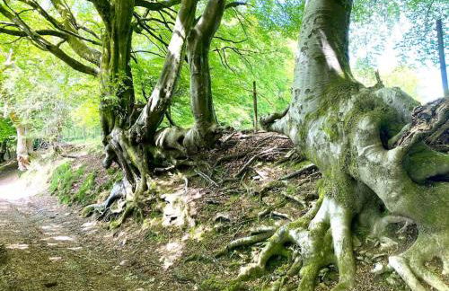 The Crest Hillside Retreat With Hot Tub - Foto 36