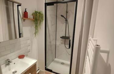 Le San Martin (à 100 m des remparts) - Foto 3