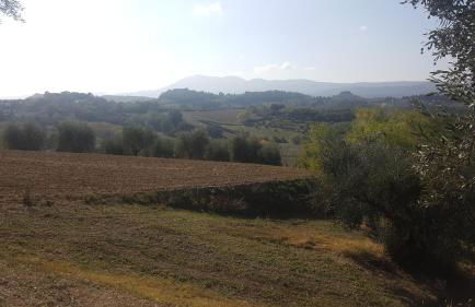 Montevenere 83 - Foto 53