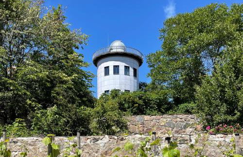 Zuarin Gewölbekeller - direkt am Schlossgarten von Schwerin - Parkplatz auf Anfrage - Aufladestation für Elektro-Autos vorhanden - Foto 33