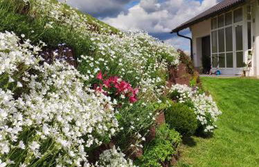 Edelstein Ferienwohnung Philippsreut - Foto 24