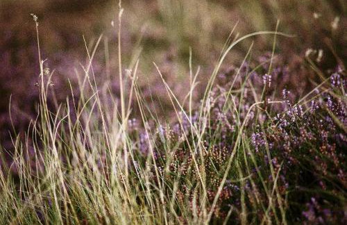 Eastside - Architect designed retreat with wood-fired sauna - Foto 46