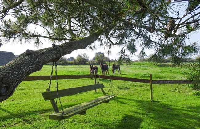 Stone House in Brittany With Sea Views - Foto 15