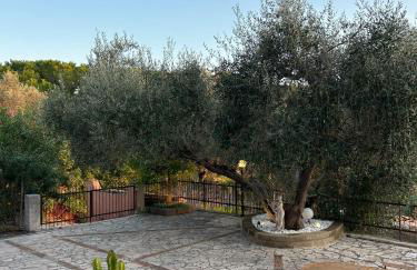 Villa Capalbio - Foto 17