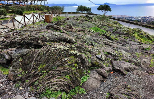 Mt. Vesuvius Hike - Photo 4
