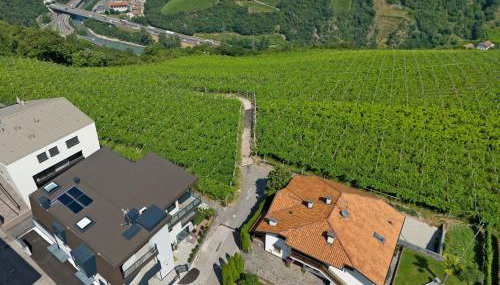 New Opening Vinea Guesthouse - Foto 5