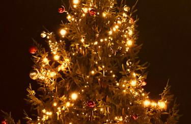 Centre historique de LYONS LA FORET Hotel de Maître le Cottage - Foto 14