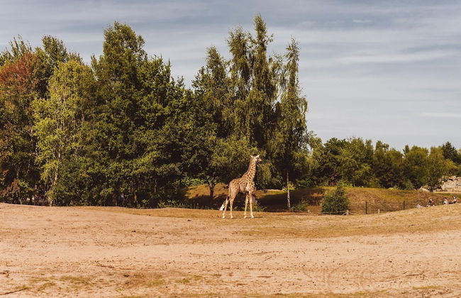 Villa in Someren Near Somerense Heide - Photo 37
