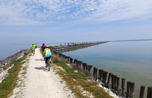 Gorinoapartment - Foto 15