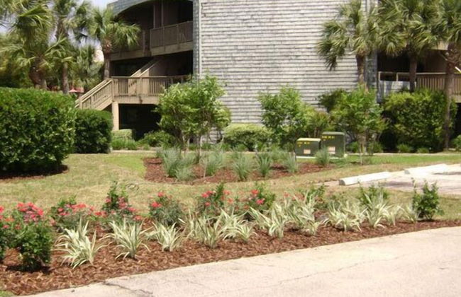 Ocean Gate at Hibiscus Resort - Foto 29