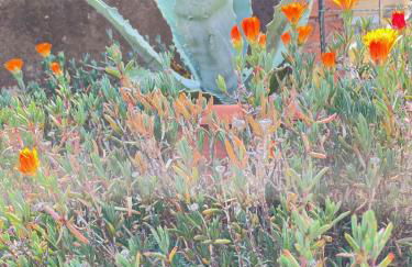 Giudecca Palanca 664 - Foto 43