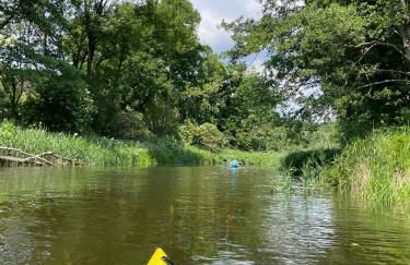 Ferienhaus am Schilfweg mit Kanu - Foto 19