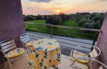 Lavanda Samarin - Foto 15