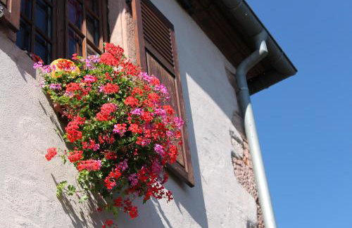 S'Harzala Rouge - Foto 5