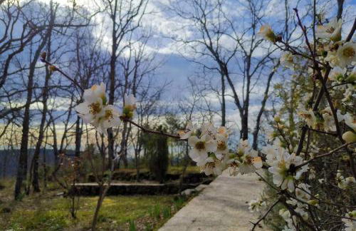 Casa Rural: La Casa Mágica de Gredos - Foto 21