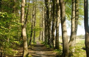 Ammerländer Ferienwohnung - Foto 20