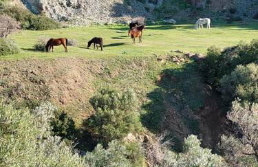 La Mer Villa - Entire Cottage - Foto 48