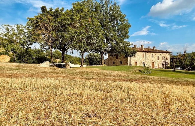 Palazzolo Resort - Anghiari - Photo 26