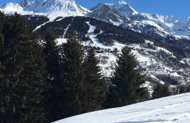 La Plagne, Montchavin, les Coches - Foto 16