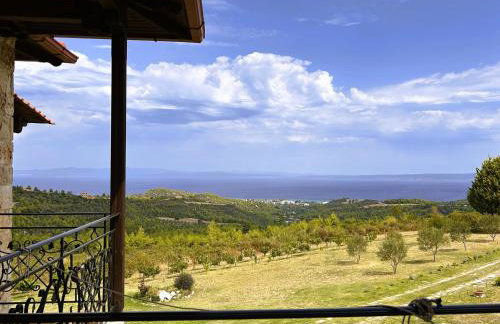 Κτήμα Verde - Foto 37