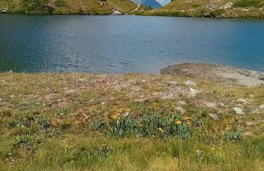 Da Gigi e Laura - Foto 32