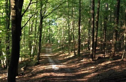 Ferien am Roten Haus - Foto 6
