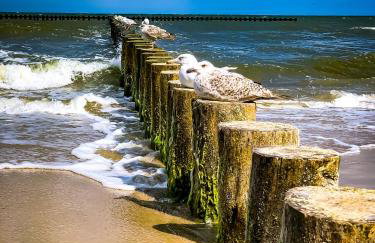 Fabryka Wspomnień - Domki letniskowe nad morzem - Foto 28