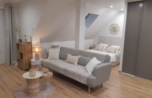Studio cosy spacieux lumineux avec coin terrasse - Foto 8