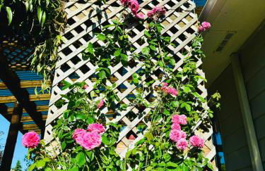 Colorful 50's Ranch in the Heart of Eugene - Foto 3