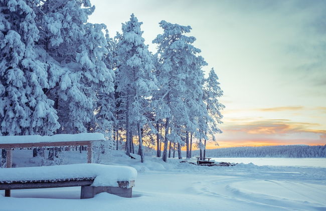 Torassieppi Eco Reindeer Resort - Photo 23