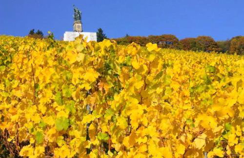 Dreimädelhof - Foto 9