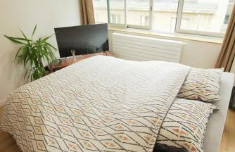 Chaleureux, lumineux et confortable F2 rénové en plein coeur de Nancy - Foto 29