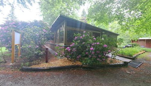 Ferienhaus Bucheneck perfekt für Familien & größere Gruppen im Seenland Lausitz - Foto 5