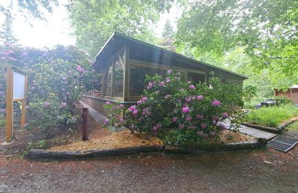 Ferienhaus Bucheneck perfekt für Familien & größere Gruppen im Seenland Lausitz - Foto 5