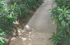 Flat Condomínio Topo da Montanha 507 fica a 5km do centro - Foto 34