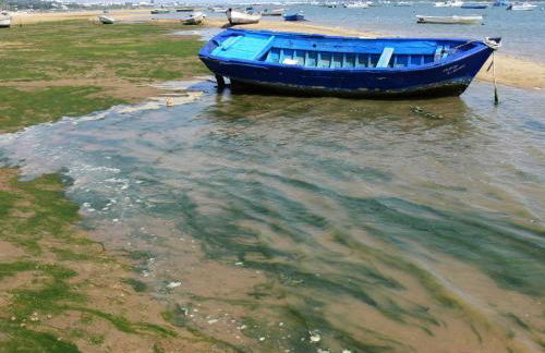 Duplex en Huelva a 15 minutos en coche de las mejores playas de España - Foto 21