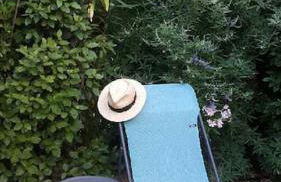 Bastidon Plein Sud - Photo 22