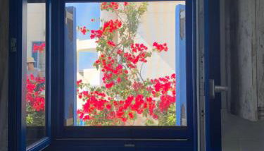 Iliovasilema VILLAGE - Foto 4