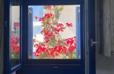 Iliovasilema VILLAGE - Photo 4